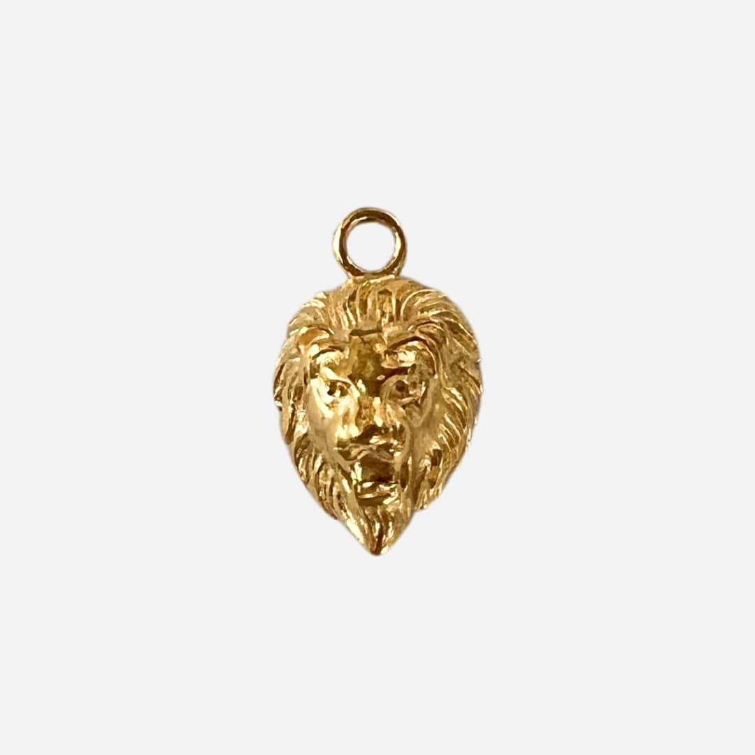 Ohrringe Charm Courage