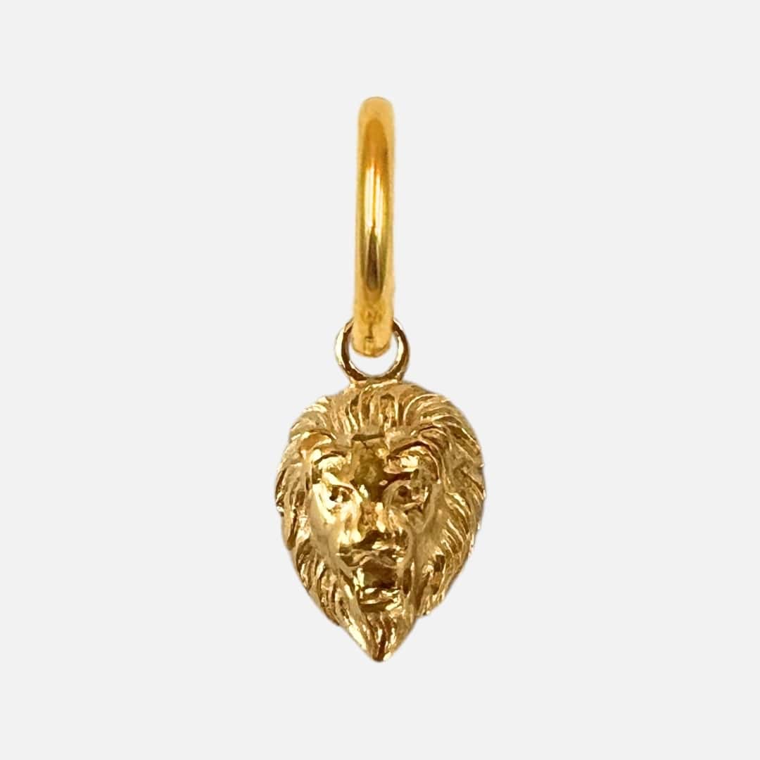 Ohrringe Charm Courage