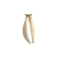 Ohrringe Charm Kauri