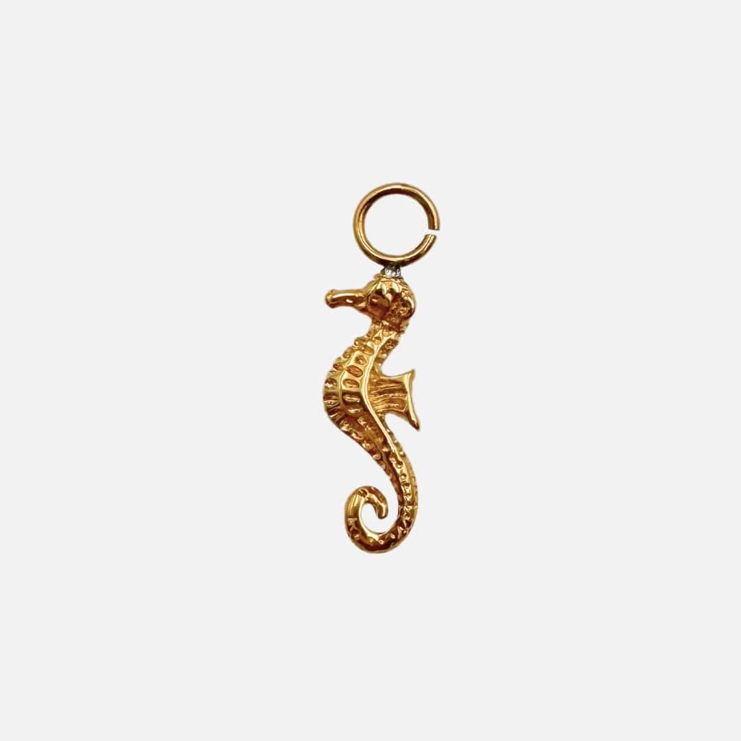 Ohrringe Charm Seahorse