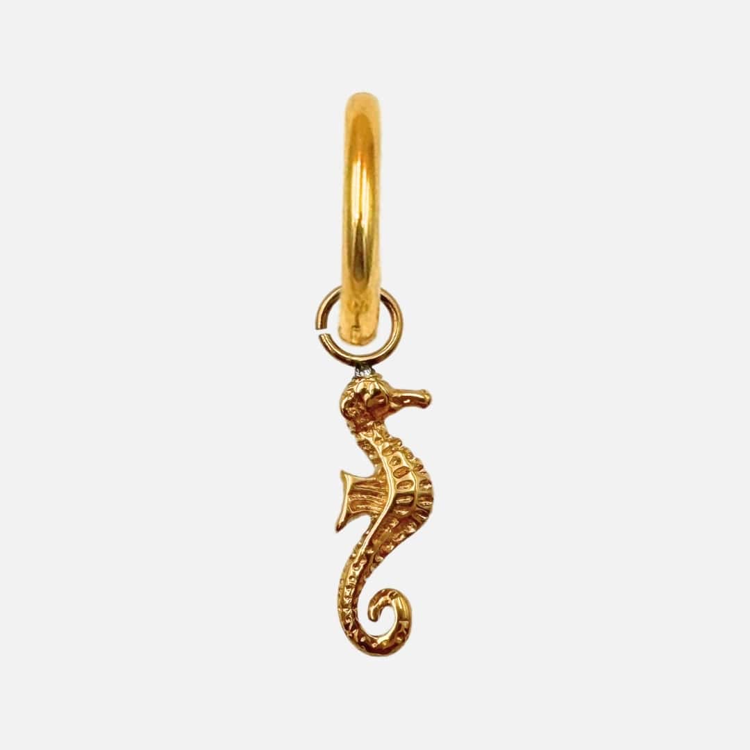 Ohrringe Charm Seahorse