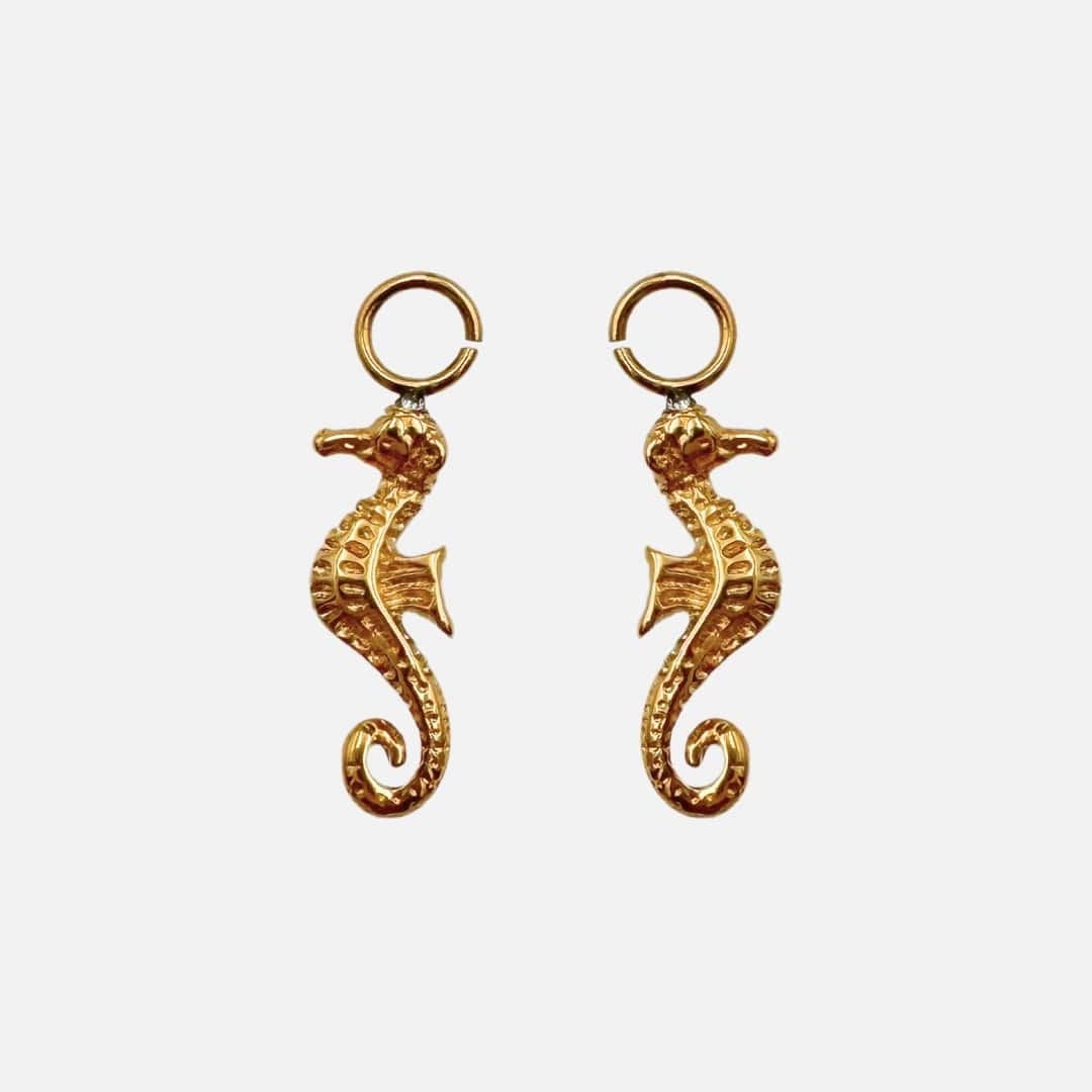 Ohrringe Charm Seahorse