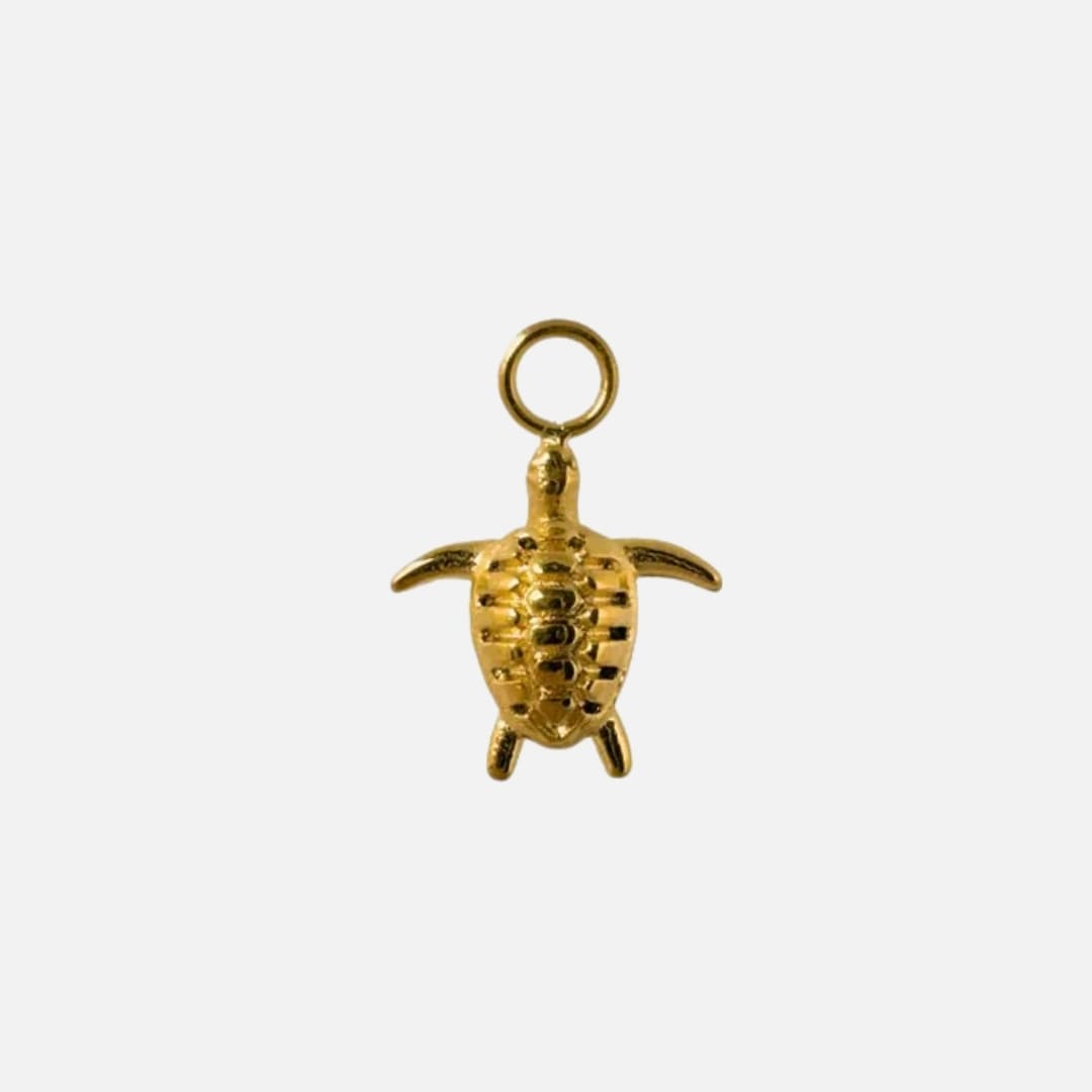 Ohrringe Charm Tortuga