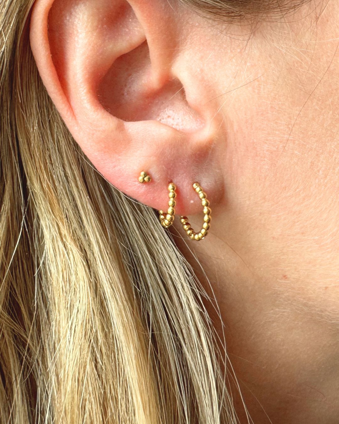 Ohrringe Dotted Hoop Regular