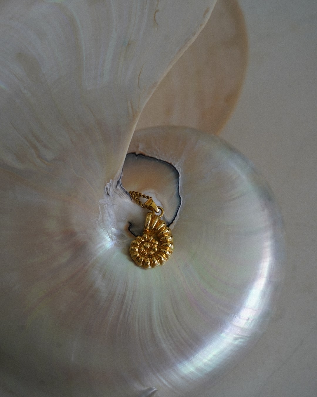 Halskette Ammonite