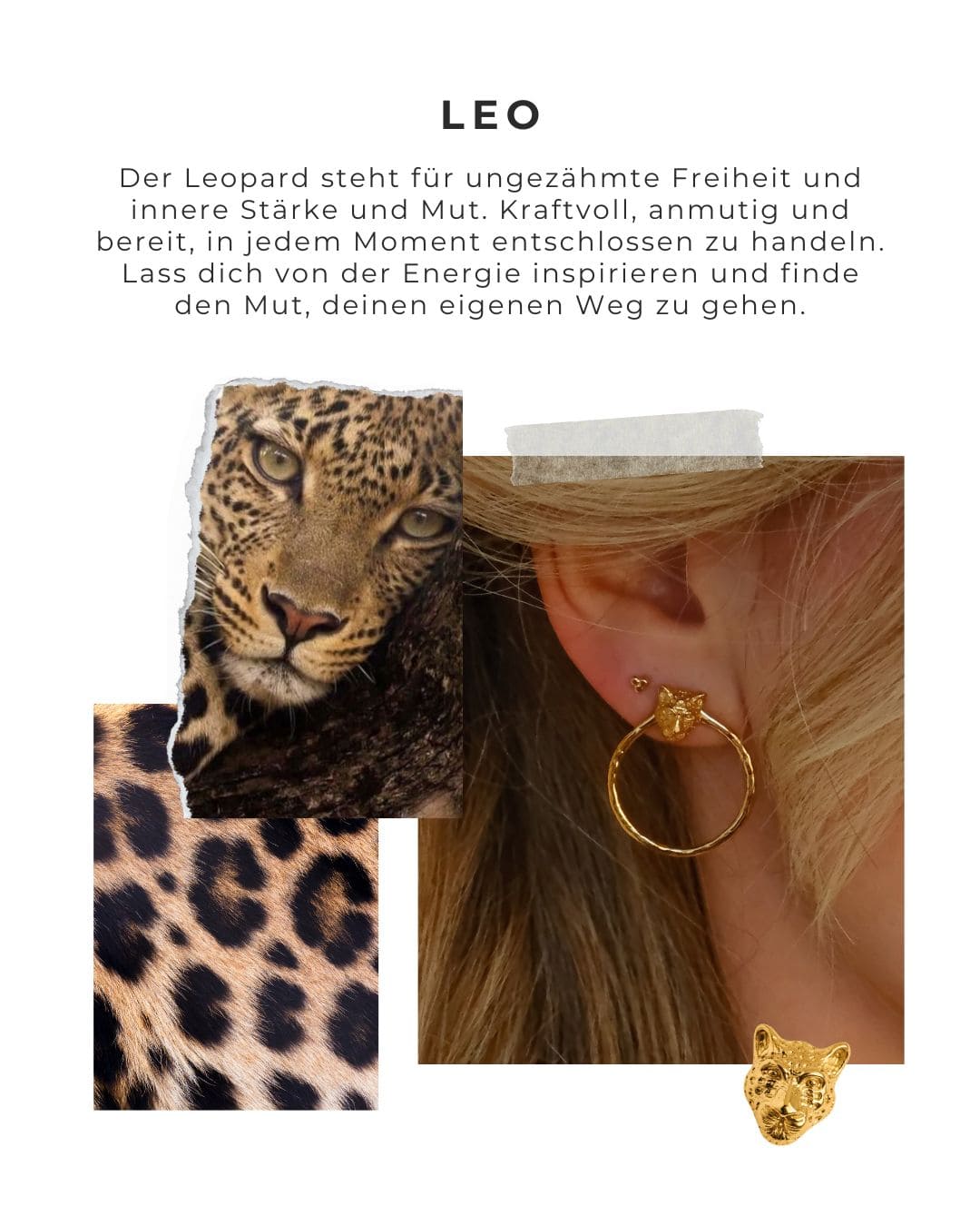 Ohrstecker Leo