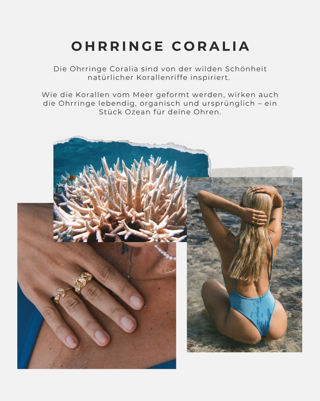 Ohrringe Coralia