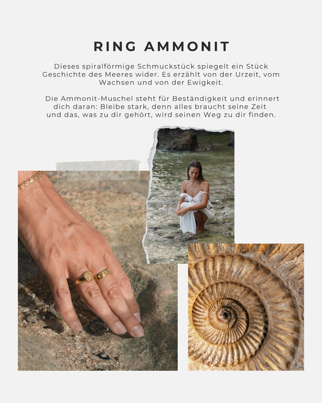 Ring Ammonite
