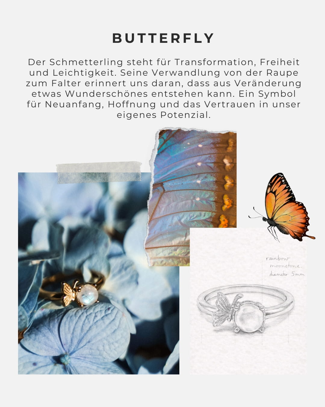 Ring Butterfly