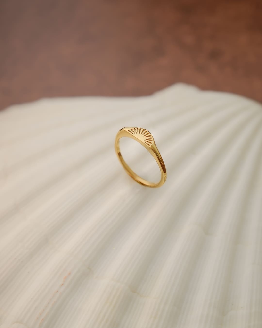 Ring Journey