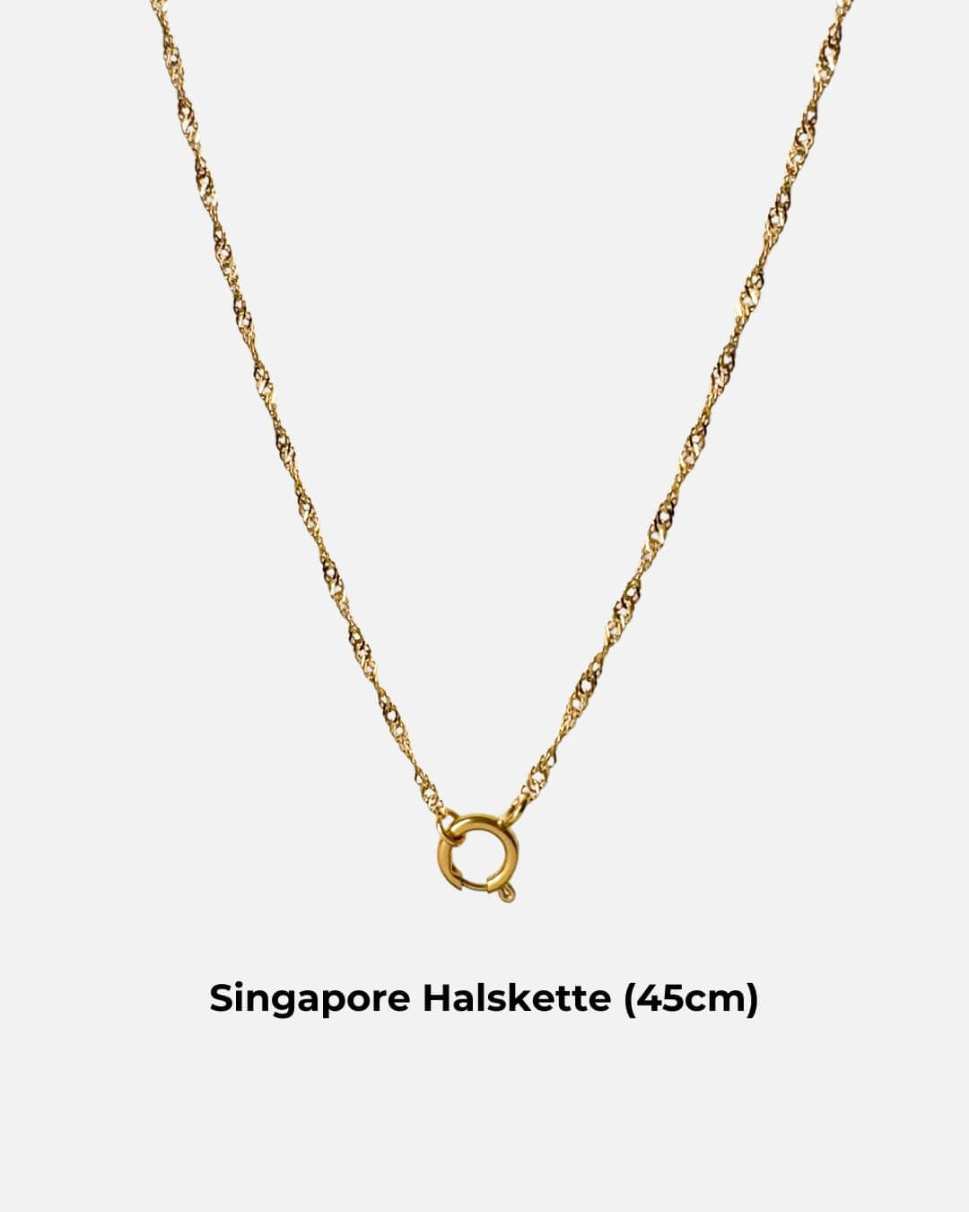 Personalisierbare Charm Halskette