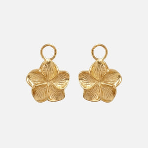 2 Charms