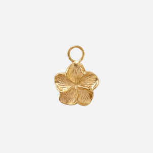 1 Charm