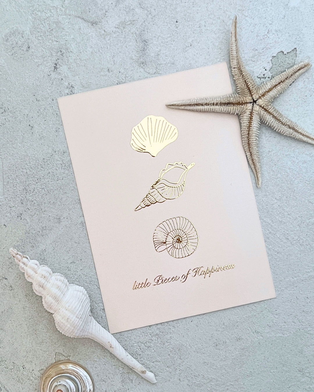 Postkarte Shell