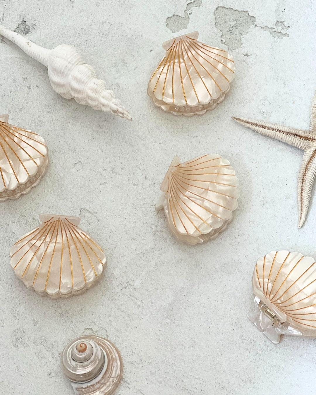 Haarspange Shell
