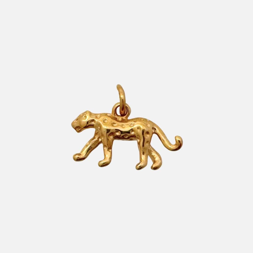 Ohrringe Charm Leo