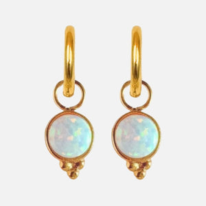 2 Hoops mit Charms