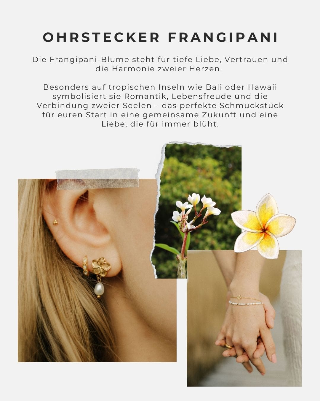 Ohrringe Frangipani