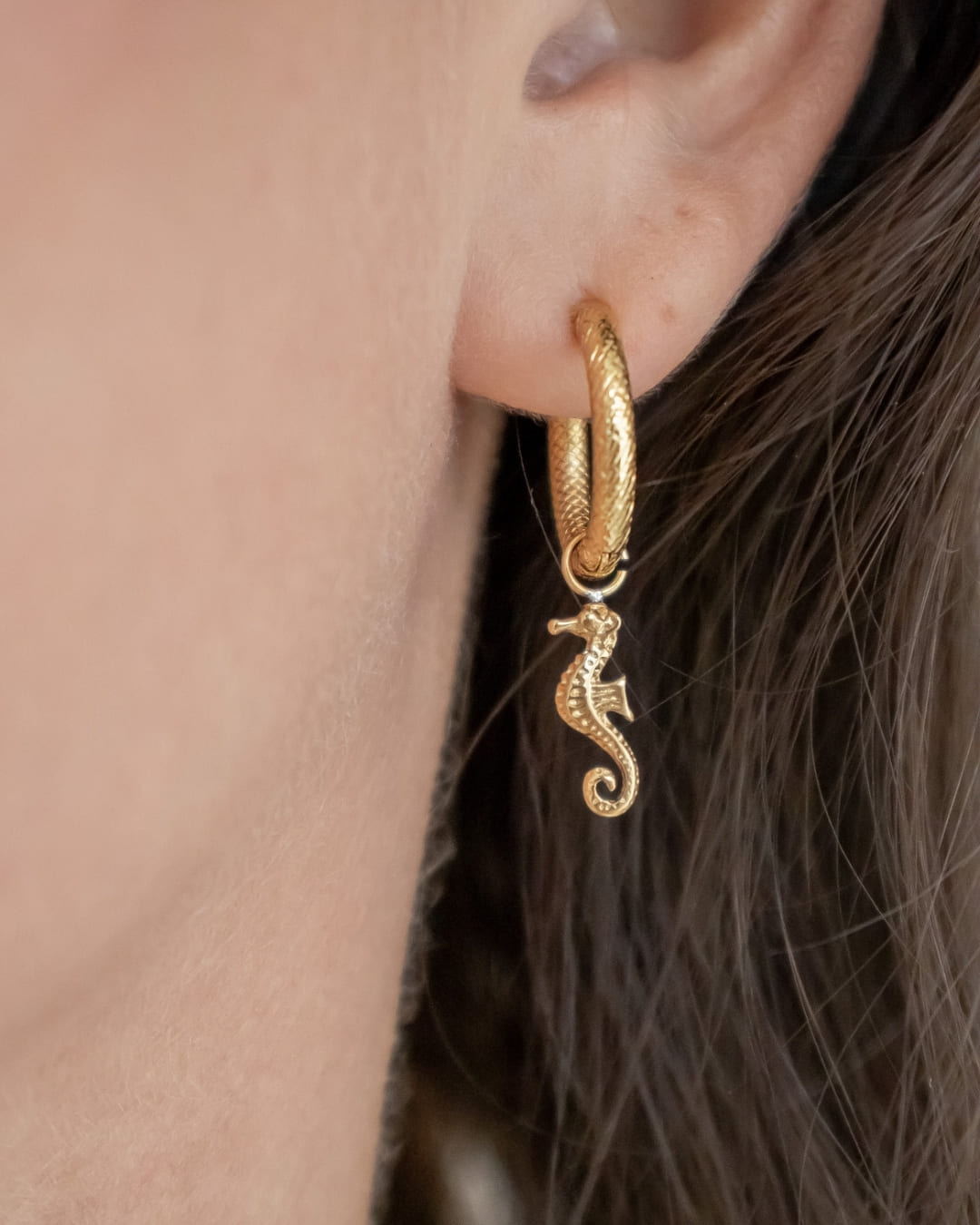 Ohrringe Charm Seahorse