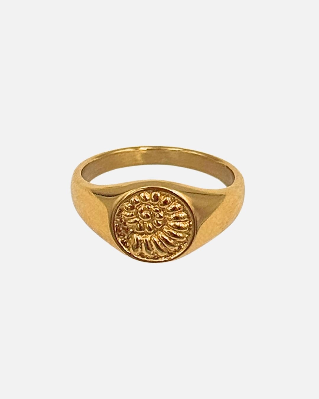 Ring Ammonite