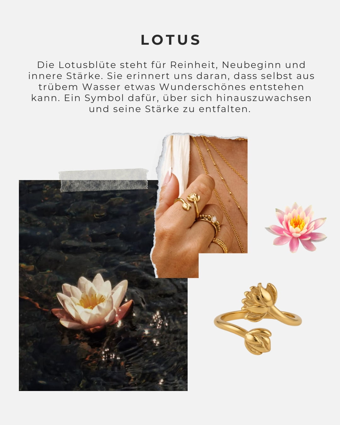 Ring Lotus
