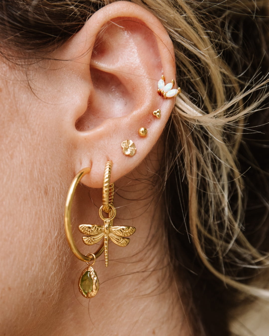 Ohrstecker Frangipani